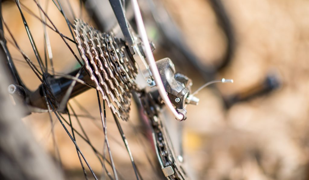Detail-view-of-rear-wheel-of-bicycle-with-chain-and-sprocket