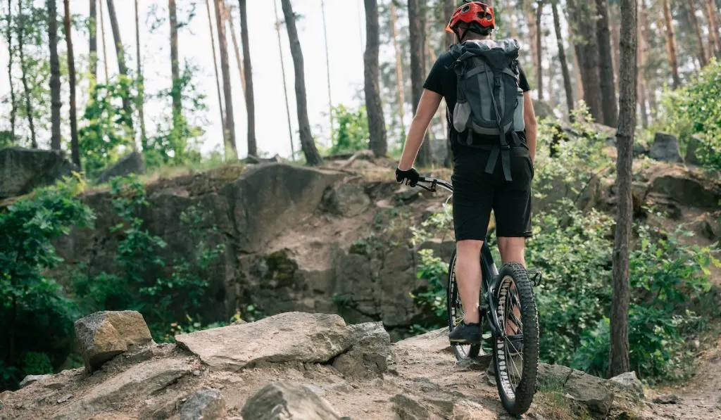 rear view of male extreme cyclist in protective helmet riding on bmx in forest
